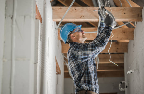 Best Ceiling Fan Installation Electrician  in Buhl, MN