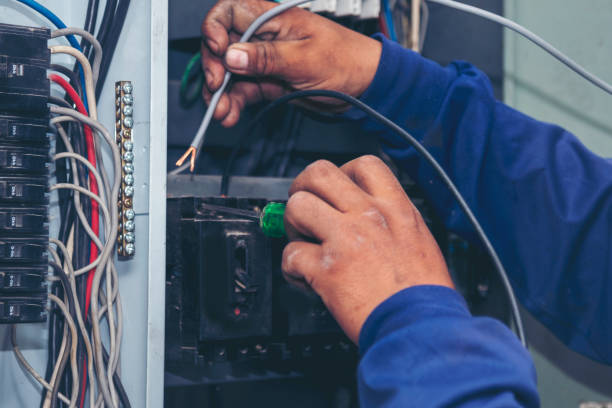 Best Licensed Electrician  in Buhl, MN
